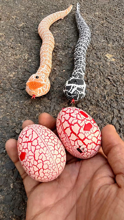 Realistic Remote Control Snake Toy Rechargeable, Egg-Shaped Infrared Controller